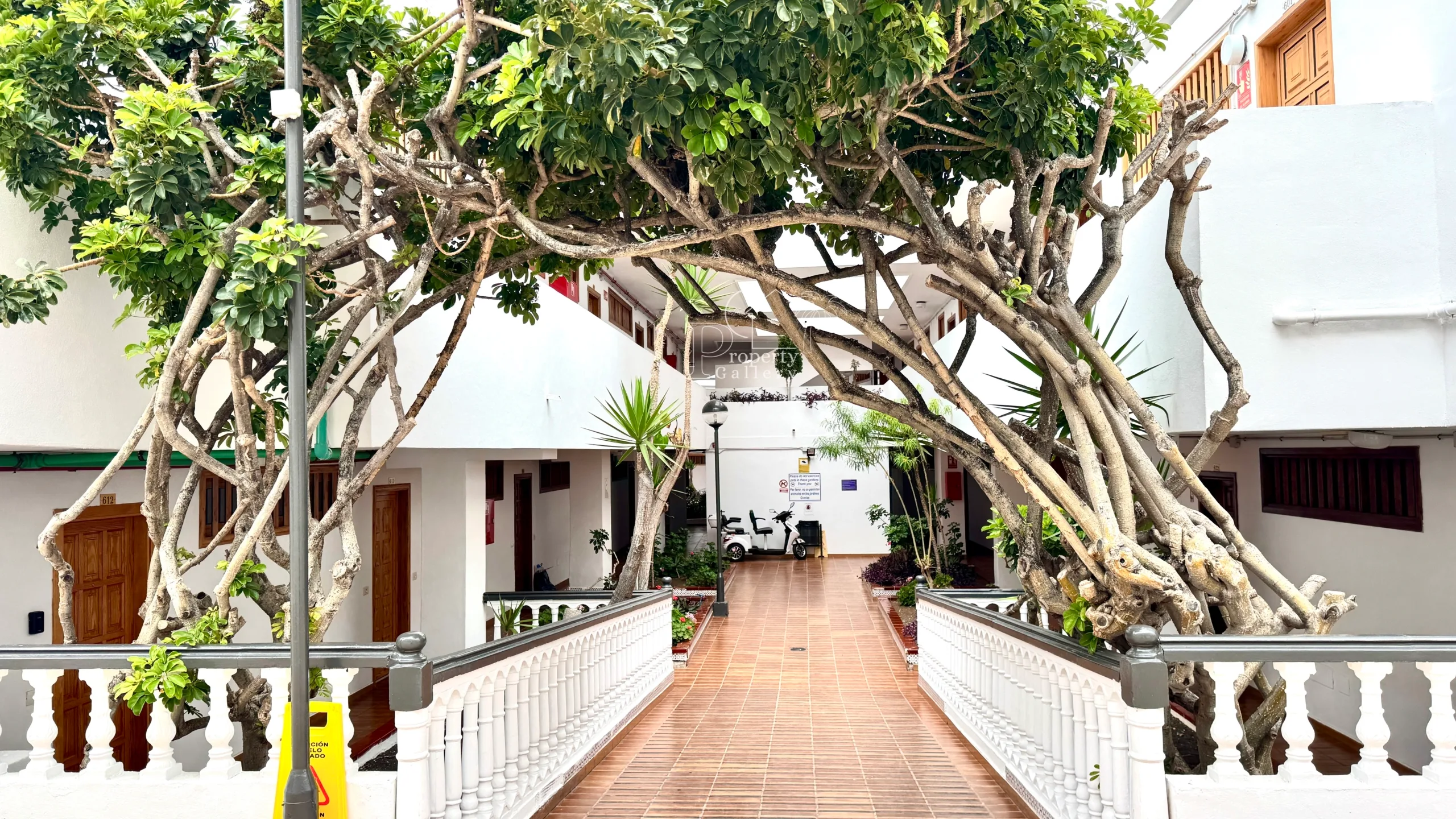 Apartment for Sale in Garden City, San Eugenio Bajo