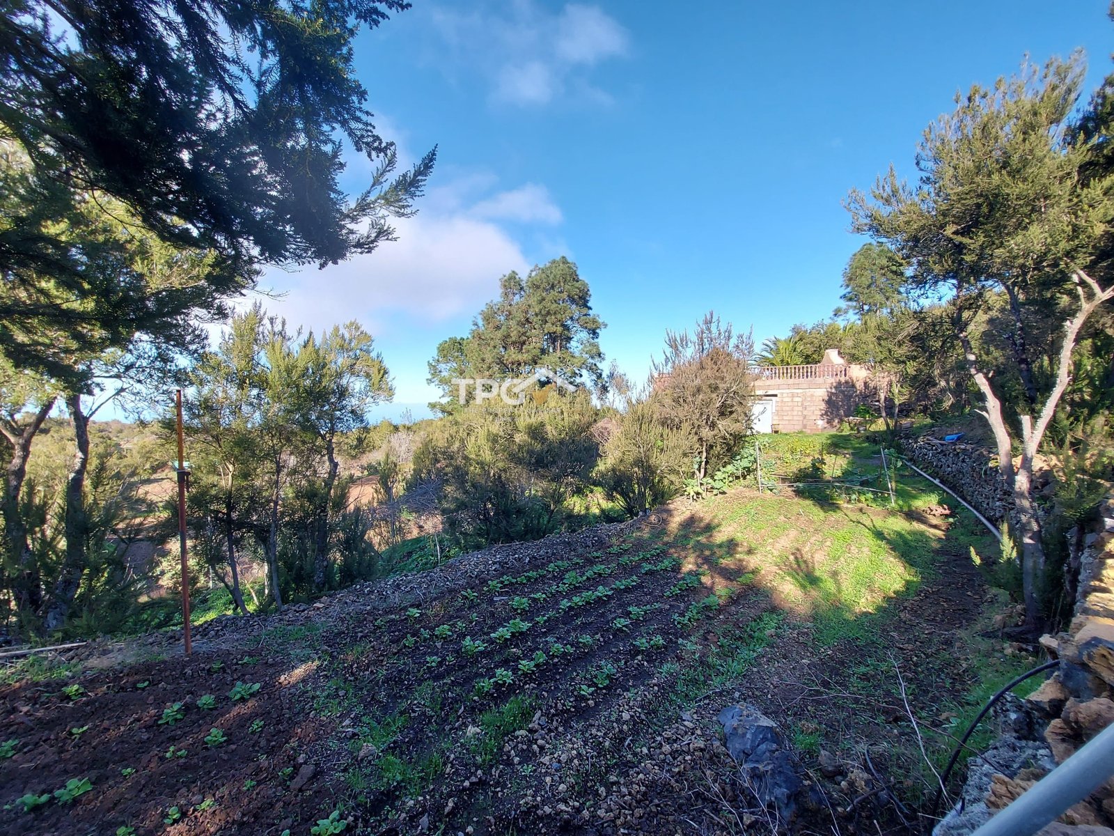 TPG0016 House for Sale in El Tanque, Tenerife