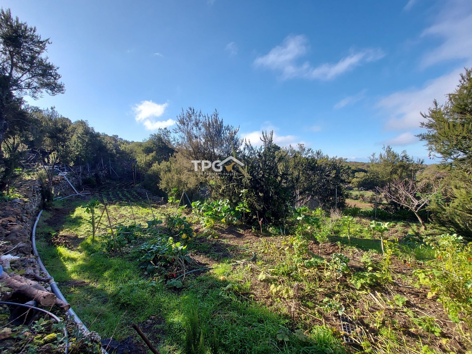 TPG0017 House for Sale in El Tanque, Tenerife