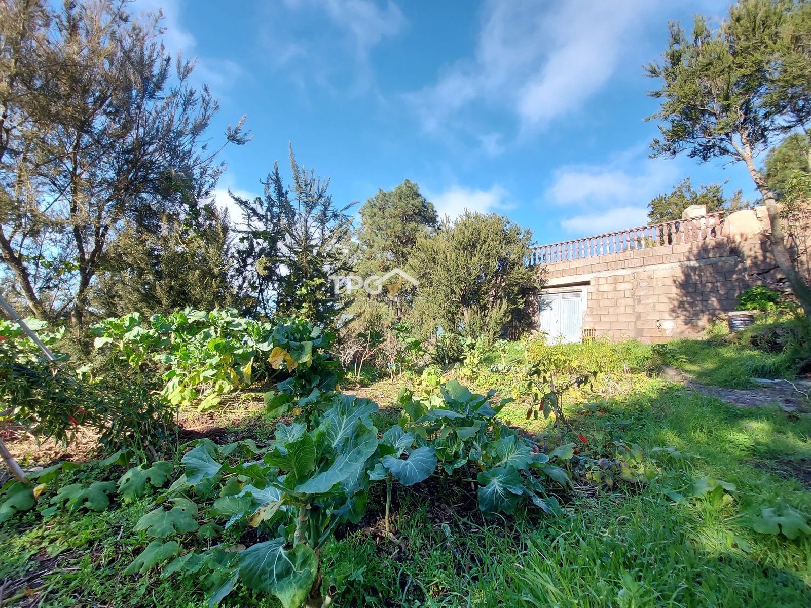 TPG0019 House for Sale in El Tanque, Tenerife