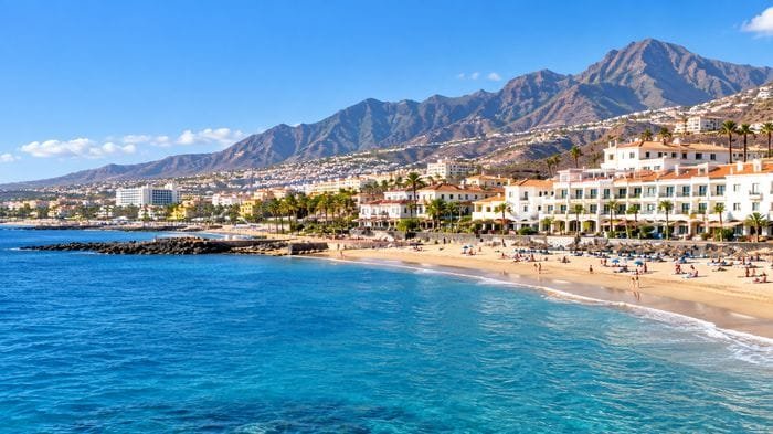 Torviscas Tenerife