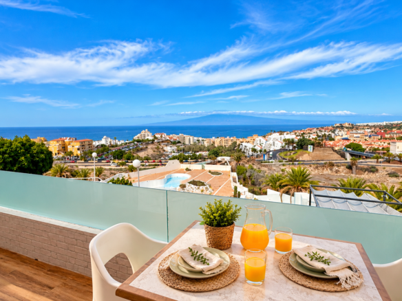 View of the ocean and the coast from the terrace.