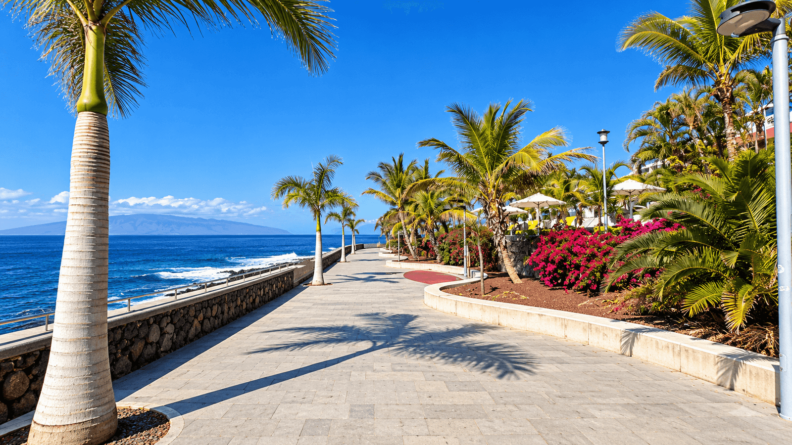 Palm-lined seafront promenade in Playa Paraíso, Tenerife